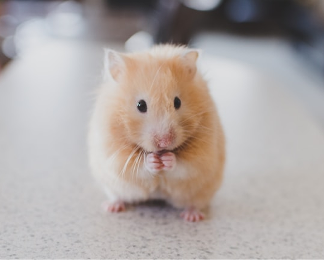 수학 기초 다지기 이미지