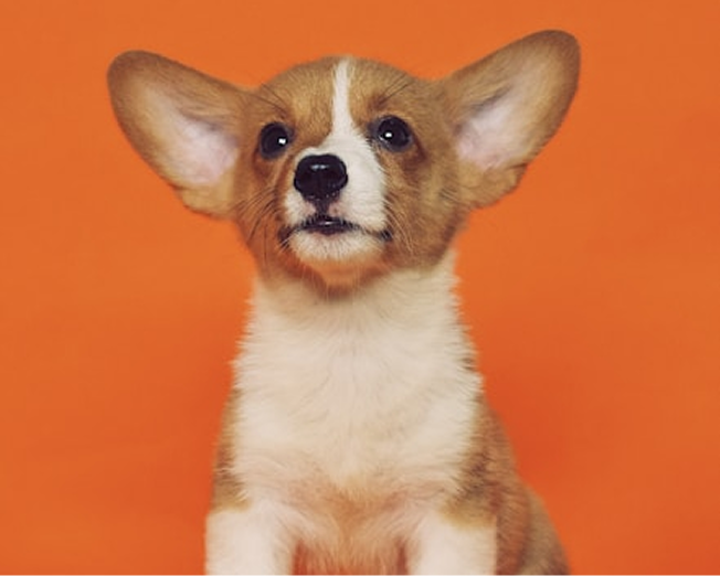 코딩 사고력 교육 이미지