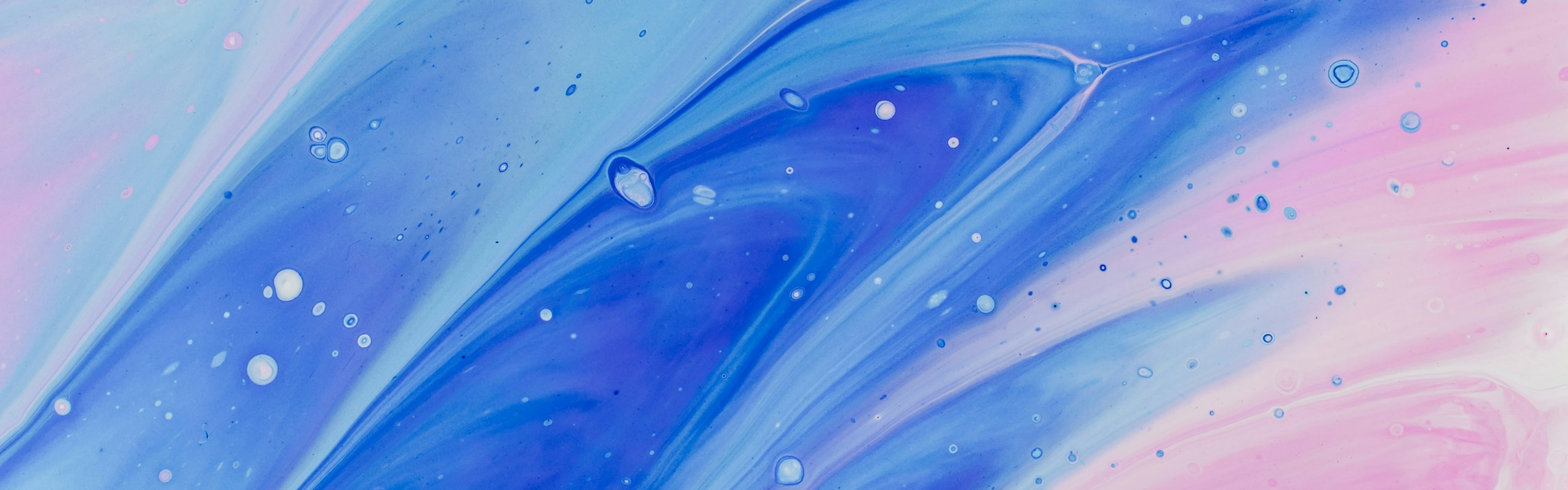 인트로 비주얼 이미지